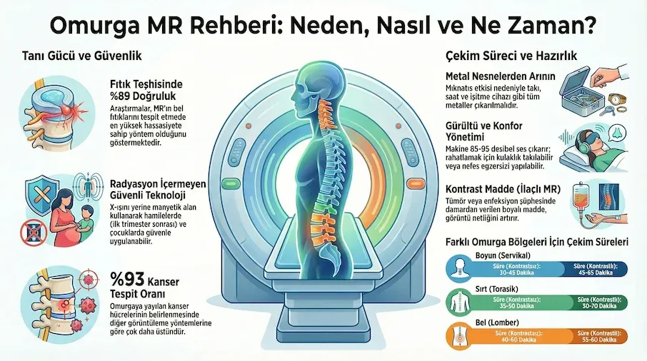 omurga mr infografik